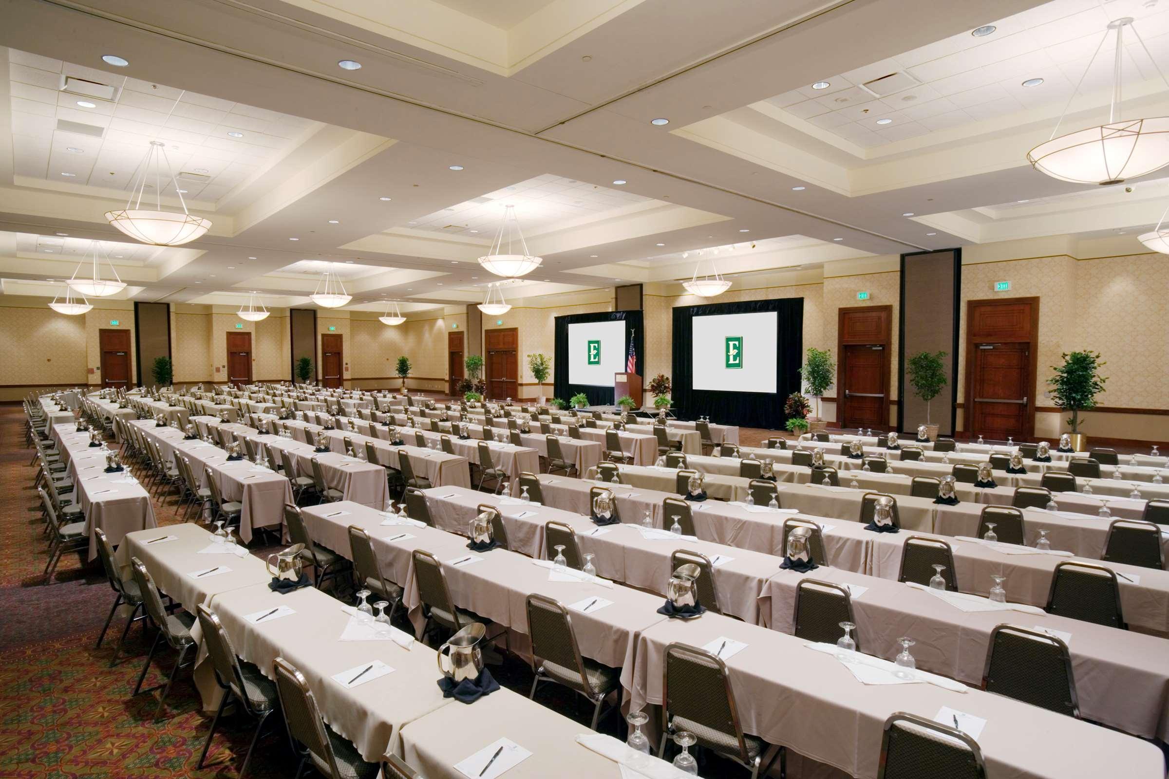 Embassy Suites By Hilton Tampa Usf Near Busch Gardens Bekvämligheter bild