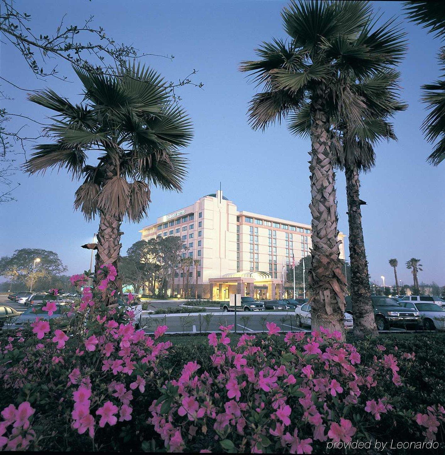 Embassy Suites By Hilton Tampa Usf Near Busch Gardens Exteriör bild